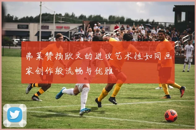 弗莱赞扬欧文的进攻艺术性如同画家创作般流畅与优雅